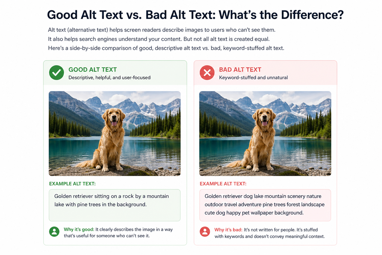 Comparison of helpful vs keyword-stuffed image alt text examples